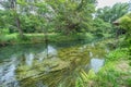 Sai River Ã§Å â¬Ã¥Â·Â near Daio Wasabi Farm in Azumino, Nagano Prefecture, Japan Royalty Free Stock Photo